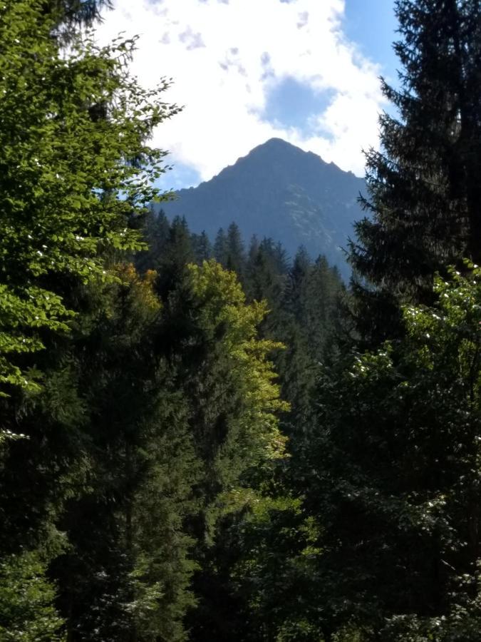 דירות Isny im Allgäu Eistobel Und Felderhalde מראה חיצוני תמונה