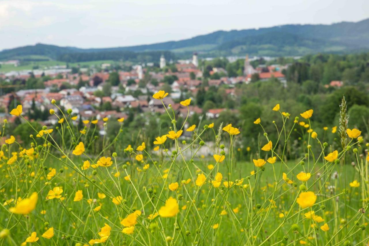 דירות Isny im Allgäu Eistobel Und Felderhalde מראה חיצוני תמונה