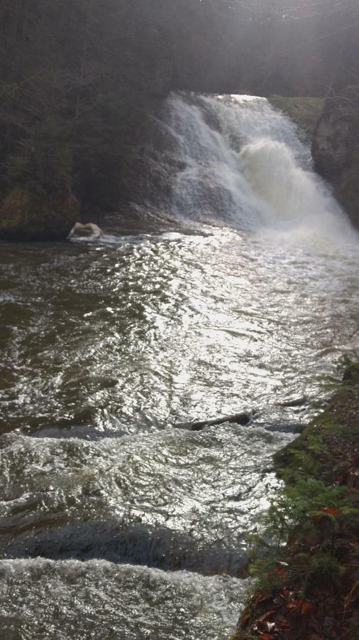 דירות Isny im Allgäu Eistobel Und Felderhalde מראה חיצוני תמונה