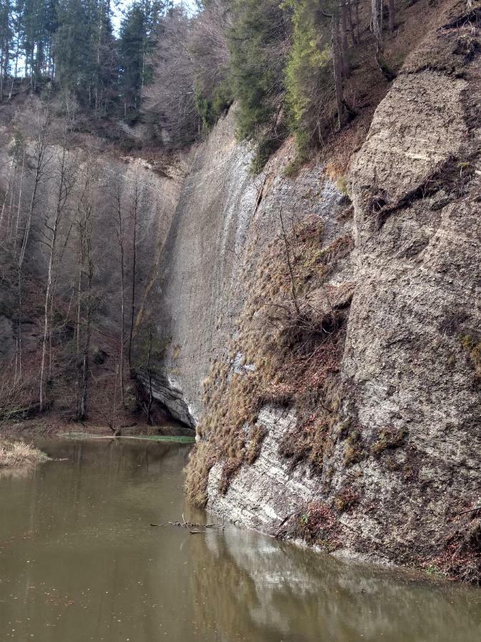 דירות Isny im Allgäu Eistobel Und Felderhalde מראה חיצוני תמונה